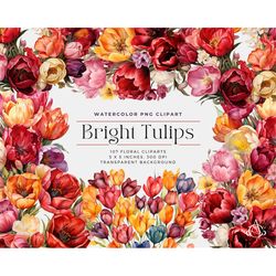 Bright Watercolor Tulips Flowers PNG, Watercolor Floral Clipart Bouquets, Elements, Commercial Use, Digital clipart PNG