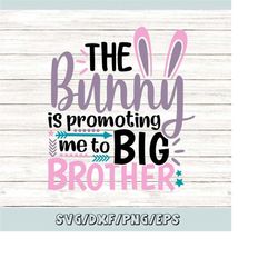 The Bunny Is Promoting Me To Big Brother Svg, Easter Svg, Easter Bunny Svg, Boys Easter Svg, silhouette cricut cut files