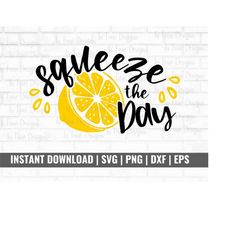 Lemon Puns SVG, Lemon svg, lemon png, lemon clip art, citrus svg, Lemonade svg, Fruit Cut File, svg for Cricut Silhouett