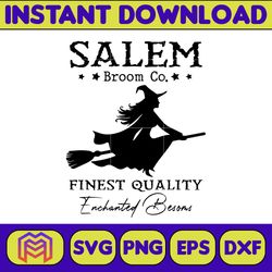 Salem 1692 They Missed One Svg, Salem 1692 Svg, Halloween Svg, Salem Massachusetts Svg, Halloween Witch Svg (8)