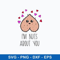 I_m Nuts about you Svg, Funny Svg, Png Dxf Eps File
