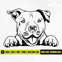American Pit Bull Svg | Pitbull Svg | Peeking Dog Svg | Dog Paw Svg | doggo svg | doge svg | Cute Dog Svg | Dog Stickers