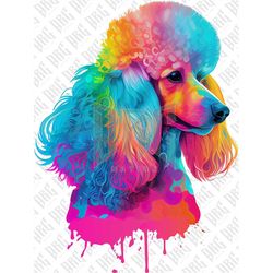 colorful poodle dog png | hand drawn dog breed png | poodle portrait png | dog graphic illustration | sublimation design