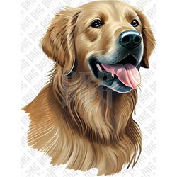 Golden Retriever Dog PNG | Hand Drawn Dog Retriever Breed Sublimation | Dog Portrait PNG | Dog Illustration | Mugs Subli