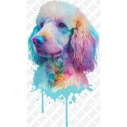 Colorful Poodle Dog PNG | Hand Drawn Dog Breed PNG | Poodle Portrait PNG | Dog Graphic Illustration | Sublimation Design