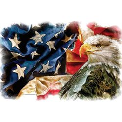 Bald Eagle Bird Art American Flag Eagle Png Eagle and USA Flag Download American Flag with Bald Eagle Patriot download W