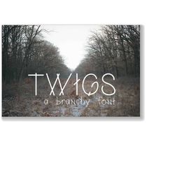 Twigs: A Branchy Font, Skinny Font, Adventure Font, Thin Font, Crossing Font, OTF, TTF