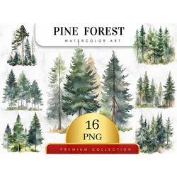set of 16, watercolor forest tree clipart, pine tree png , woodland tree, forest landscape, watercolor tree, wedding inv