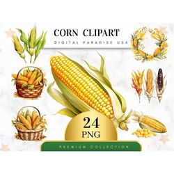 Set of 24, Watercolor Corn Clipart, Corn PNG, Harvest Clipart, Vegetable Clipart, Farmhouse Decor, Sublimation PNG, Nurs
