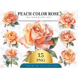 Set of 15, Watercolor Peach Color Rose,  Floral Clipart,  Wedding Clipart,  Spring Clipart,  Wild Flowers, Watercolor fl
