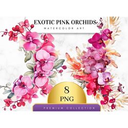 Set of 8, Watercolor Exotic Pink Orchid Clipart, Floral PNG, Floral Clipart, Wedding Clipart, Spring Clipart, Watercolor