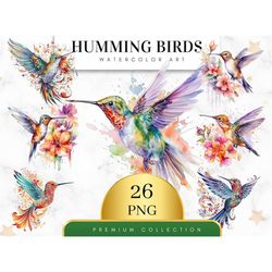 Set of 26, Watercolor Humming Birds Clipart, Spring Birds Png, Birds Clipart, Colorful Birds Clipart, Humming Birds Clip