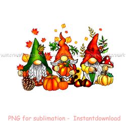 Gnomes Fall Png, Cute Gnome design, instantdownload, png for sublimation