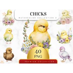 Set of 40, Watercolor Chicks Clipart Bundle, Cute Baby Chickens, Easter Eggs png, Watercolor Chicks, Chicks png, Sublima