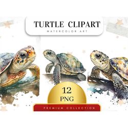 Set of 12, Sea Turtle PNG, Watercolor Sea Turtle Clipart, Sea Animals PNG, Cute Sea Turtle, Sea Turtle Wall Art, Ocean A