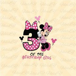 3  Year old Birthday  Girl svg, Mouse svg, Minniee Svg, mouse head svg, Vinyl Cut File, Svg, Pdf, Jpg, Png, Ai Printable