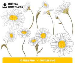 Bundle Layered Svg, White Daisy Svg, White, Daisy Svg, Love Svg, Digital Download, Clipart, PNG, SVG, Cricut, Cut File