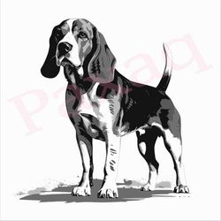 beagle svg, alert beagle vector, beagle vector cutfile png pdf svg jpg for mugs, tattoos, stickers, clothes