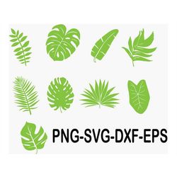 Tropical leaves svg | monstera leaf svg clipart | commercial use svg | jungle leaves clipart | palm branch svg | tropica