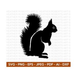 Squirrel Svg, Baby Squirrel Svg, Cute Squirrel Svg, Forest Animals Svg, Squirrel Silhouette, Animal Lover Svg, Cut File