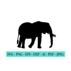 elephant svg, cute baby elephant svg, cut file for cricut, vinyl transfer, silhouette, digital clipart, vector graphics