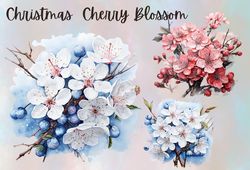 Christmas cherry blossom PNG, clipart for sublimation, holiday floral graphics, Christmas-themed clipart, cherry blossom