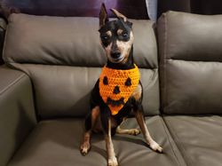 Crochet dog bandana, handmade bandana, dog Halloween costume, pumpkin