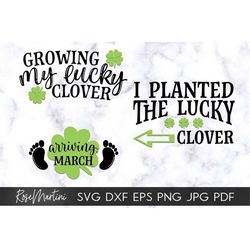 Growing my lucky clover Arriving March  I planted the lucky clover SVG files Saint Patrick's Day Pregnancy Announcement