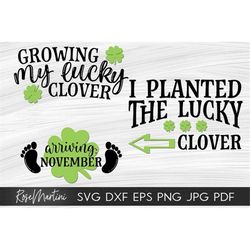 Growing my lucky clover Arriving November  I planted the lucky clover SVG files Saint Patrick's Day Pregnancy Announceme