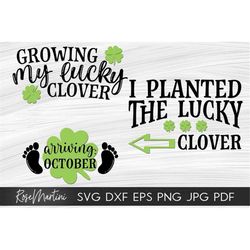 Growing my lucky clover Arriving October  I planted the lucky clover SVG files Saint Patrick's Day Pregnancy Announcemen
