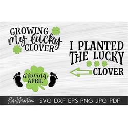Growing my lucky clover Arriving April  I planted the lucky clover SVG files Saint Patrick's Day Pregnancy Announcement