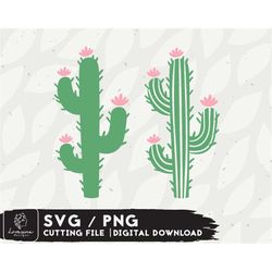 Cactus SVG Design - Cactus SVG Files for Cricut - Silhouette Cut File - Popular Svg  Digital Download