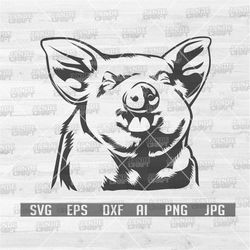 Cute Farm Pig svg | Farm Animal svg | Pig svg | Pig Cutfile | Pig Clipart | Animal Shirt svg | Pig Shirt svg | Farm Cutf