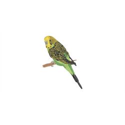 Embroidery file Budgerigar green 3 sizes 10x10,13x18 and 18x13 frame machine embroidery Parakeet Parrot bird birds Budge