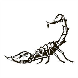 Scorpion SVG, Digital file Scorpion for printing on T-shirts, File for paper cutting, DXF, PNG, Dxf, Scorpion clip art