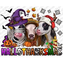Hallothanksmas Heifers Png Sublimation Design, Happy Halloween Png,Merry Christmas Png,Thanksgiving Png,Hallothanksmas P