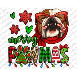 Merry pawmas Christmas Bulldog png sublimate designs download, Christmas Png, Christmas Bulldog png, pawmas png, sublima