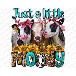 Just a little moody heifers png sublimation design download, Heifer cows png, western cow png, sunflowers cow png,sublim