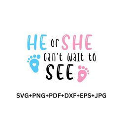 He Or She Cannot Wait To See Svg ,Gender Reveal SVG, Team Girl SVG, Baby Shower Svg, Team Boy png, Baby Announcement svg