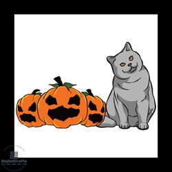 Britist Shorthair Cat Pumpkin Svg, Halloween Svg, Halloween Cat Svg