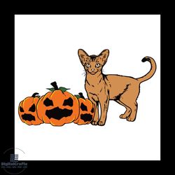 Abyssunian Cat Pumpkin Svg, Halloween Svg, Abyssunian Cat Svg, Pumpkin Svg
