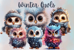 Watercolor Snowy Owl Clipart for Sublimation,Winter owl clipart, owl clipart, owl png
