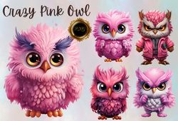 Crazy Owl Clipart,  owl clipart, owl png, crazy funny owl, cute owl,Pink Owl