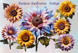Vintage Rainbow Sunflowers Png Clipart, Sunflower Clipart, Rainbow Sunflowers, Clipart, Png, Sublimation Clipart