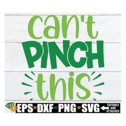 Can't Pinch this, St. Patrick's Day svg, Kids St. Patrick's Day svg, Boys St. Patrick's Day svg png, Funny St. Patrick's