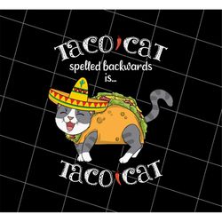 taco cat spelled backwards png, mexican food png, love tacos png, cat lover png, best cat best tacos, love food, png pri