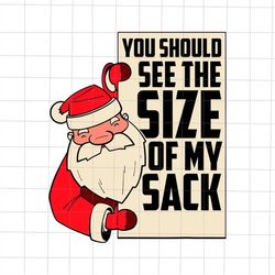 You Should See The Size Of My Sack Svg, Santa Naughty Christmas Svg, Santa Xmas Svg, Santa Quote Svg, Funny Santa Christ