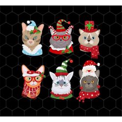 merry christmas with cats png, meowy christmas png, cat with christmas hat, christmas png, merry christmas, png for shir