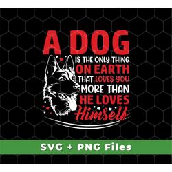 A Dog Is The Only Thing On Earth That Loves You More Than He Loves Himself Svg, Becgie Svg, Becgie Png File, SVG For Shi