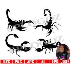 Scorpion mascot four logo bundle, Scorpion SVG, Scorpion Clipart, Cut Files, Cricut, Silhouette, Decal, Vector, sports j